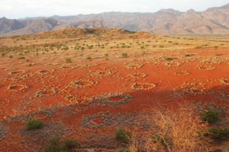 <p>Niyə "sehrli dairələr" Yer üzündə görünür?&nbsp;</p>