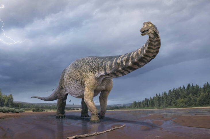 <p>Dinozavrlar təsadüfən məhv edildi</p>