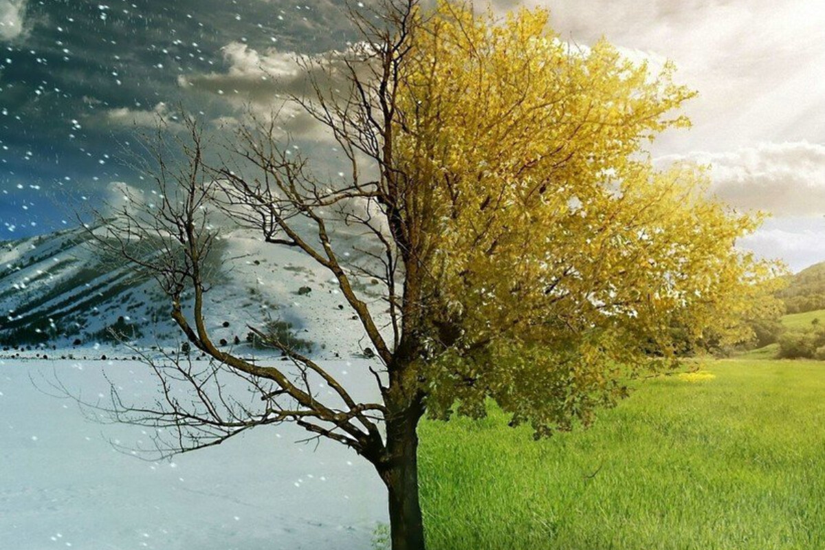 <p>Yer üzündə fəsillərin dəyişməsinin ƏSL SƏBƏBİ</p>