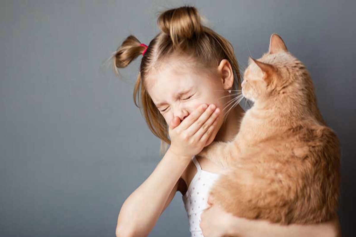 <p>Allergiyaya dözmək getdikcə niyə çətinləşir?</p>