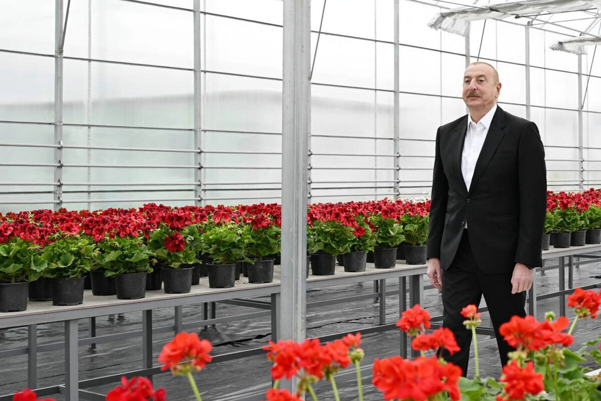 <p>İlham Əliyev Gəncə şəhərində Ekoloji Park Kompleksinin&nbsp;tikintisi ilə tanış olub</p>