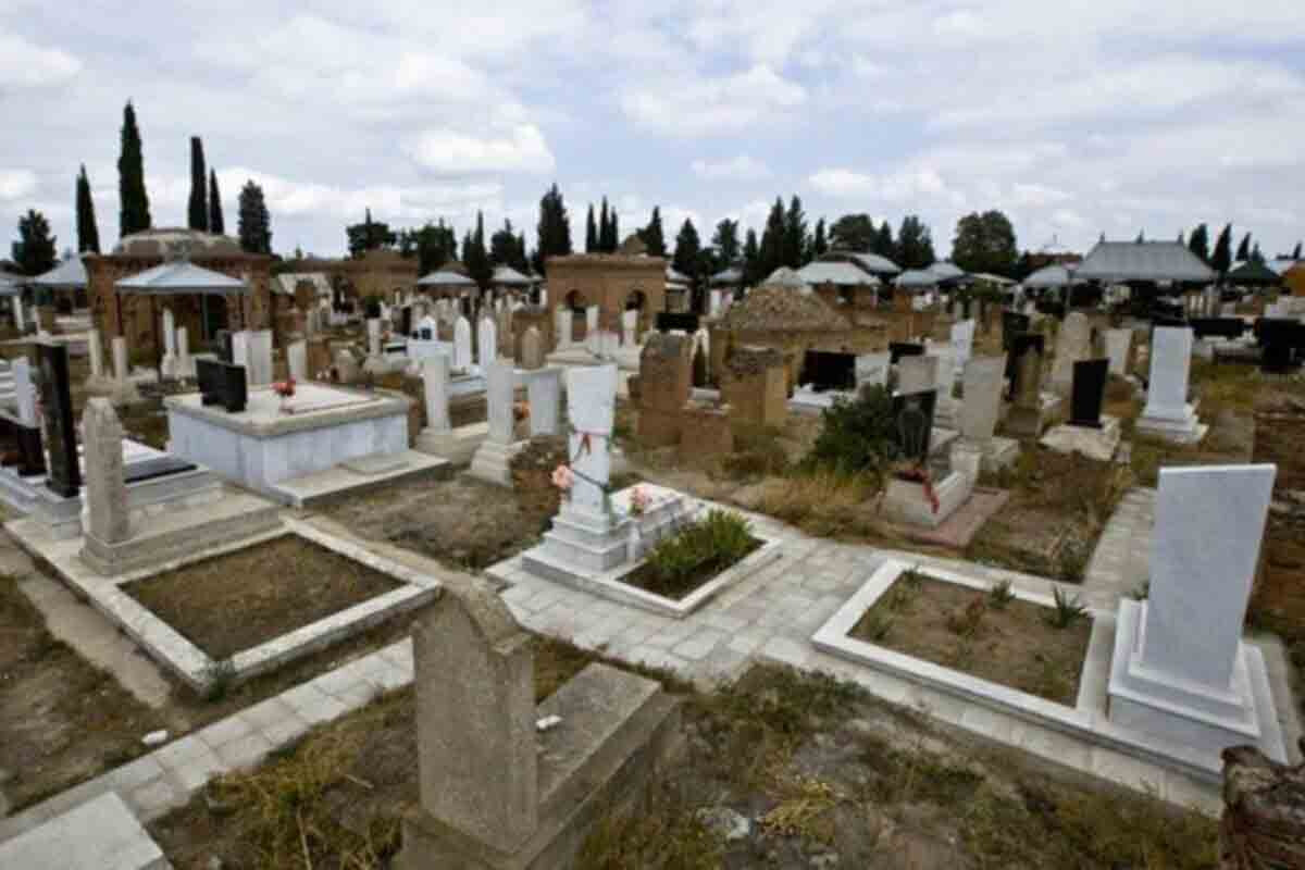 <p>Qəbiristanlıqda narkotik əkib-becərən saxlanıldı</p>