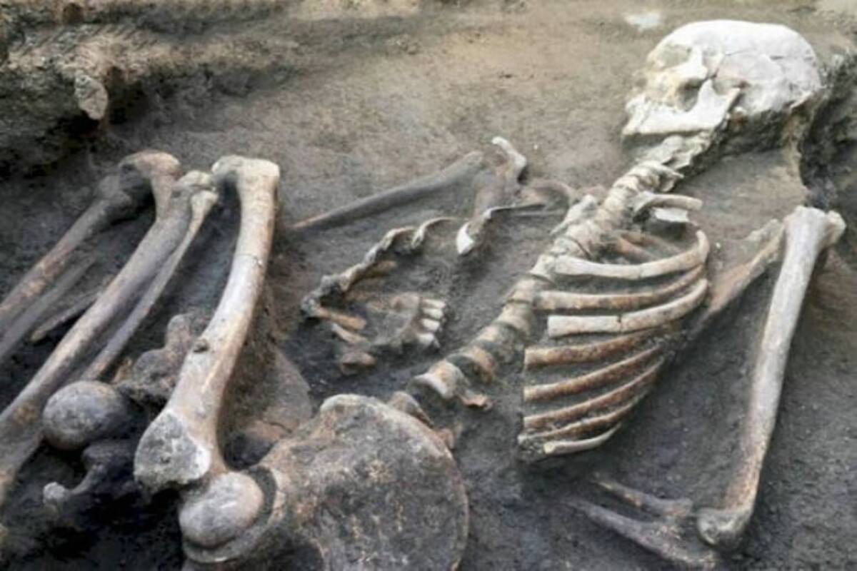 <p>Meşədən insan skeletləri tapıldı</p>