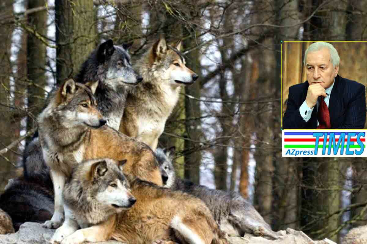 <p>AĞALAR İDRİSOĞLU: CANAVARLAR<br />
&nbsp;</p>