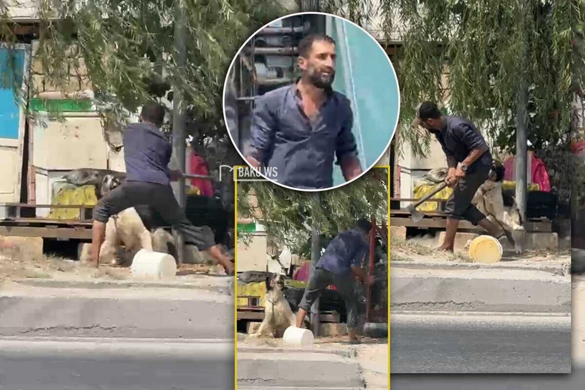 <p>İti baltalayan şəxs saxlanıldı -Ürəyi zəif olanlar BAXMASIN&nbsp;</p>