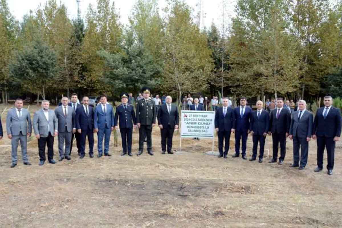 <p>Anım Gününə həsr olunmuş ağacəkmə&nbsp;- MASALLIDA</p>