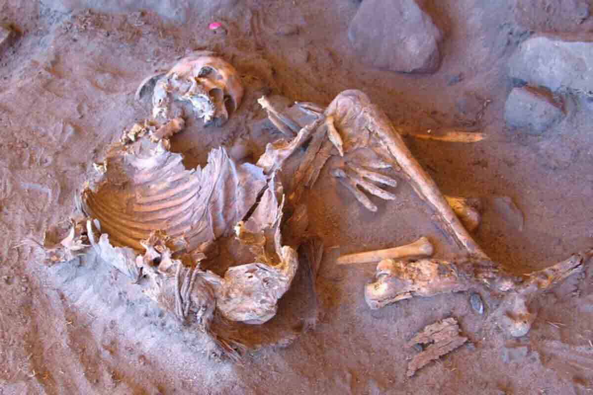 <p>7 min il əvvəl yaşamış insanların naməlum&nbsp;əhalisinin izləri tapılıb</p>