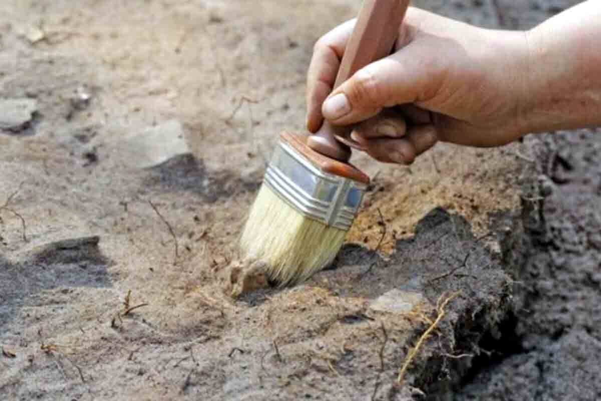 <p>Qohumluğun anadan keçdiyi qədim əhali Asiyada tapıldı</p>