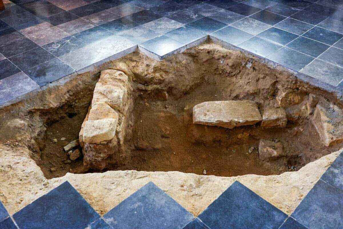 <p>Dartanyanın nəslindən DNT testi götürülüb</p>