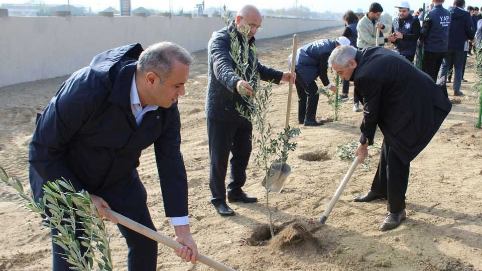 <p>YAP-ın rayon təşkilatları ağacəkmə aksiyaları&nbsp;keçiriblər +FOTOLAR</p>

<p>&nbsp;</p>