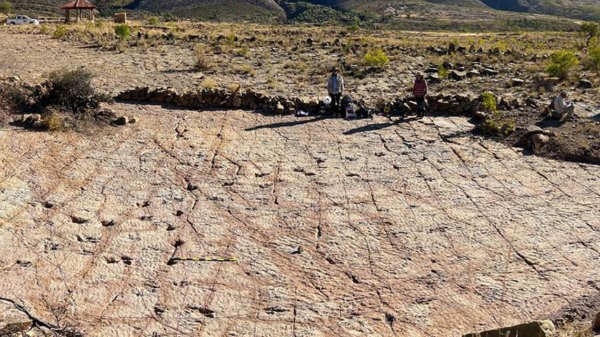 <p>16 mindən çox dinozavr ayaq izi aşkar edildi</p>