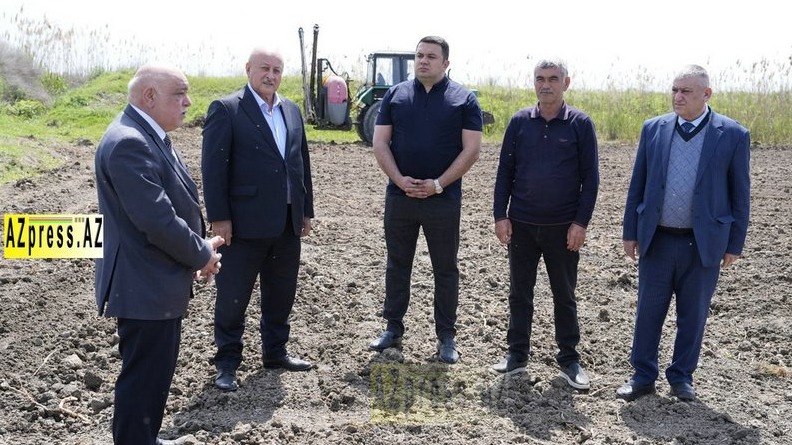 Ağcabədidə çiyid səpininə start verildi

 