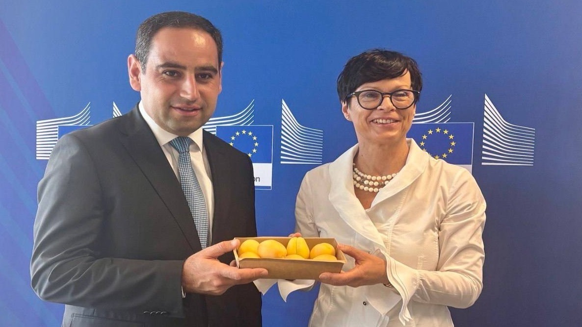 <p>Ermənistan əriklərinin ilk simvolik partiyası Aİ-yə çatdı</p>